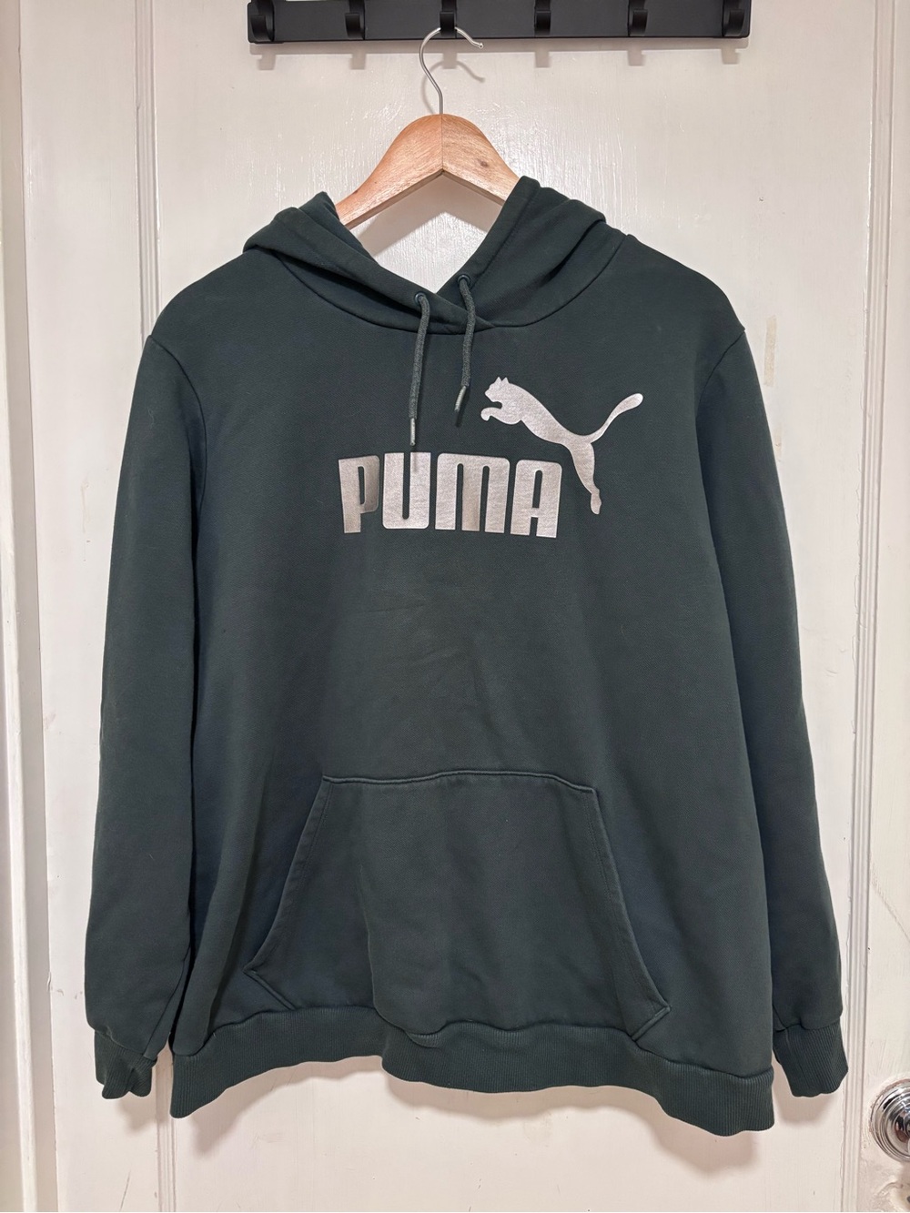Puma Forest Green Logo Pullover Hoodie